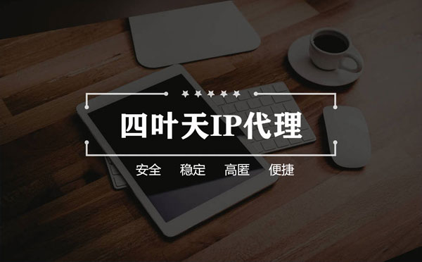 【海宁代理IP】如何快速搭建代理IP？怎么检查代理的效果？